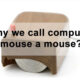 Why we call computer mouse a mouse